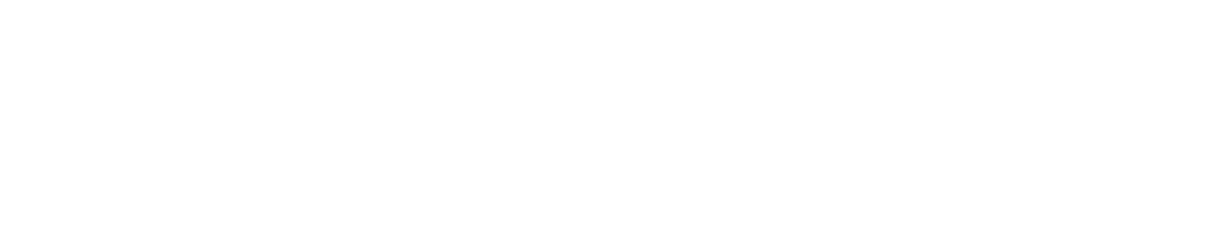 logowhite